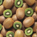 Chile se prepara para recibir a los principales países productores y exportadores de kiwi del mundo