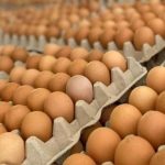 Baja del 30% en precio de huevos: Impacto en 3 meses
