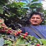 Impulso Cafetalero en Sandia: Café de Calidad para el Mundo
