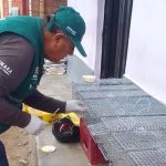 Alianza Cosagra-Senasa: Salvaguardando Huaura de Plagas Agrícolas