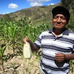 Cajamarca: Gobierno moderniza la Agricultura Familiar con inauguración de tres obras de riego valorizadas en 12 millones de soles