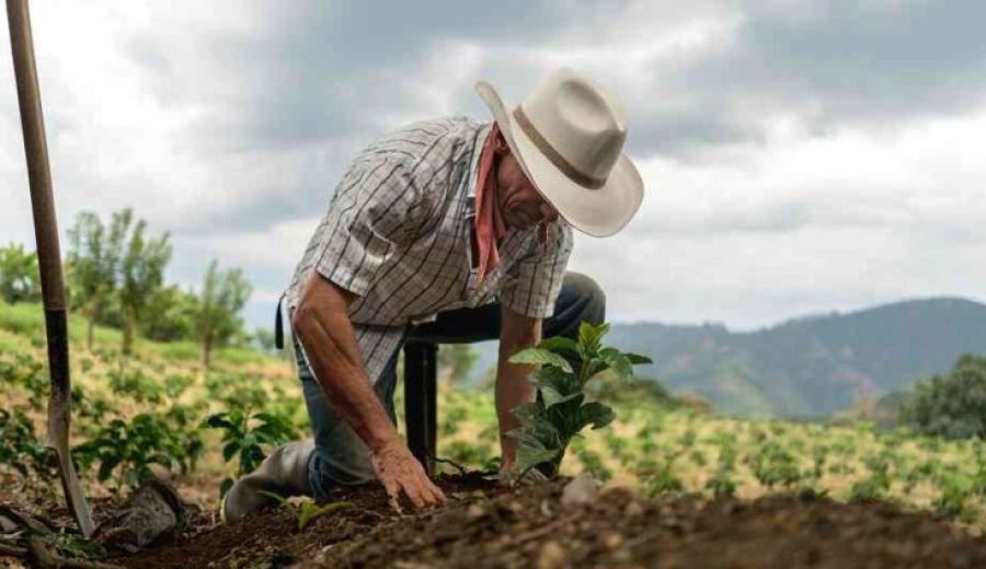 Latin American man sowing the land at a farm – agriculture concepts