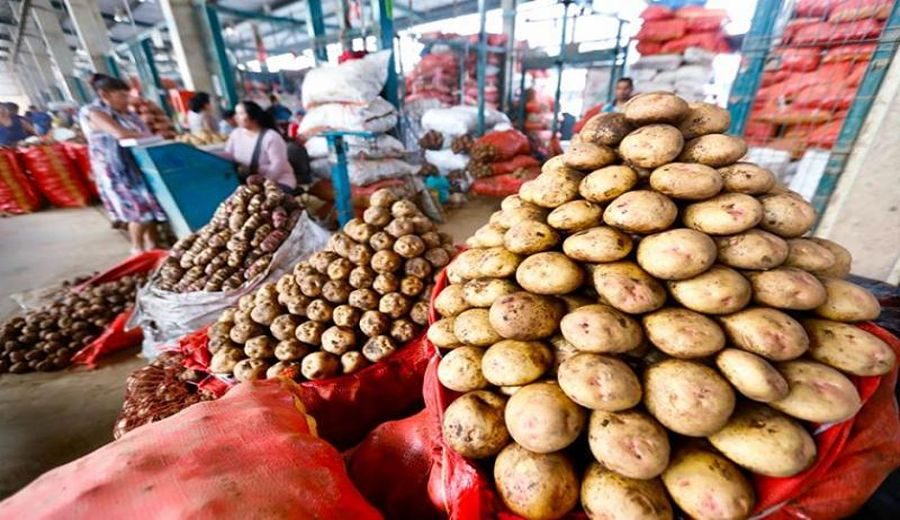 Abundancia Alimentaria: Estabilidad en Mercados Mayoristas de Lima