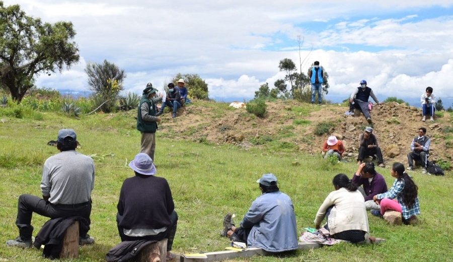 Agricultores de Ayacucho se capacitan en cuidado del cultivo de maíz ante plagas