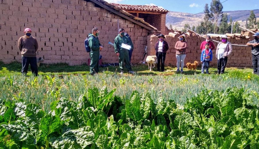 Agricultores reciben acreditación para movilizar productos durante cuarentena