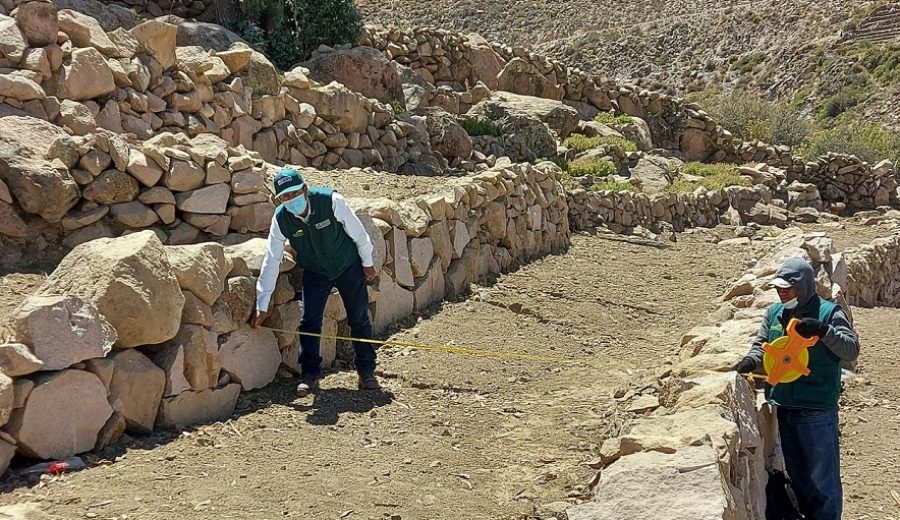 Agro Rural Rehabilitan andenes para convertirlos en suelos agrícolas de alta productividad en Tacna