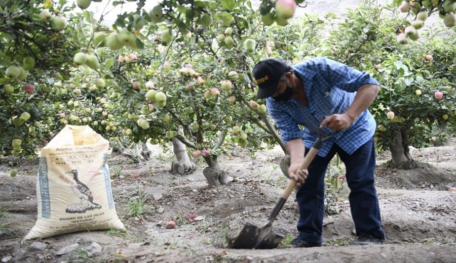 Agro Rural contará con 327 empadronadores para registrar a beneficiarios de subvención