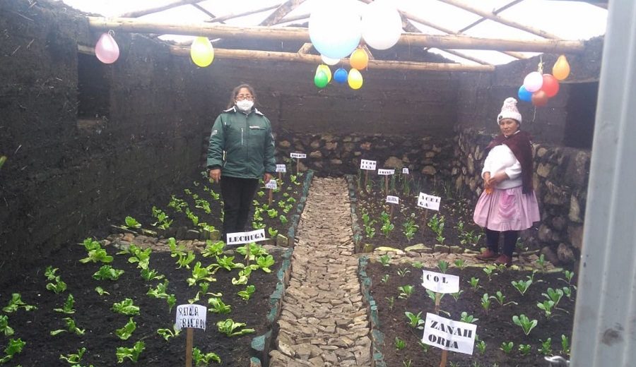 Agro Rural culmina construcción de fitotoldos en zonas altoandinas de Junín