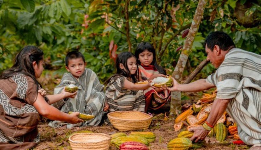 Agro Rural destina 900 toneladas de guano de las islas a productores asháninkas y yaneshas