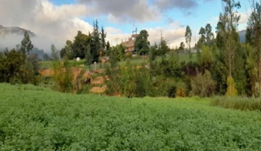 Alerta Agroclimática en la Sierra Peruana: Retos y Recomendaciones