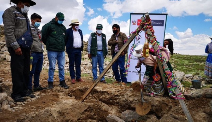 Arequipa Nuevo Agro Rural inicia acciones para proteger más de 45 mil cabezas de ganado y cultivos ante