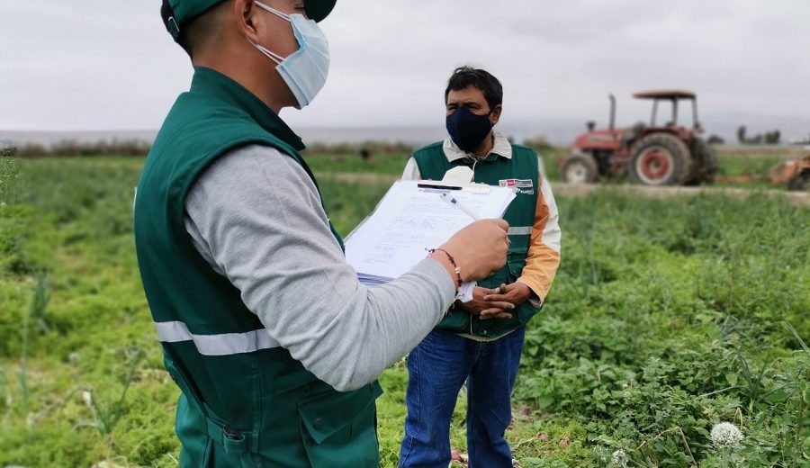 Arequipa SENASA continúa con plan anual de monitoreo de alimentos agropecuarios