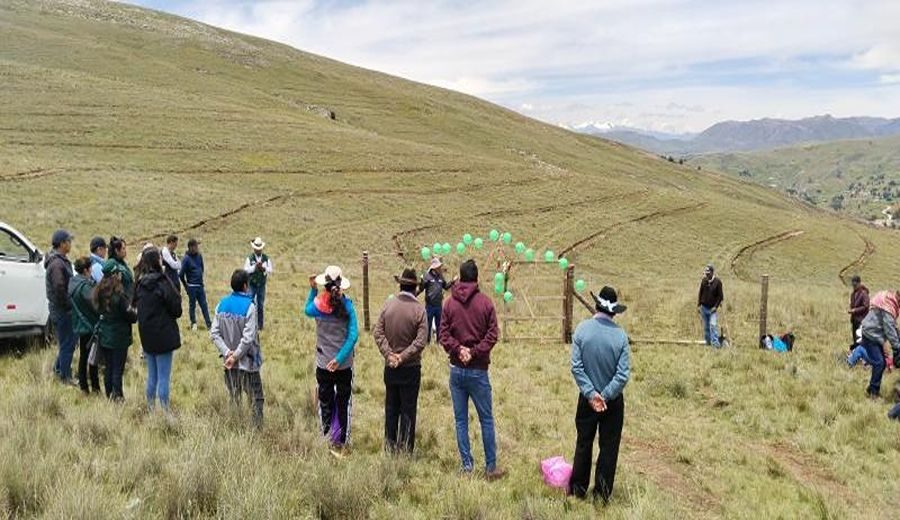 Aumento Vital: Agro Rural Transforma 600 Hectáreas en Reservas Hídricas en Junín