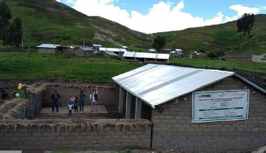Ayacucho Agro Rural protege 6 600 cabezas de ganado con la construcción de 66 cobertizos en beneficio de familias ganadera