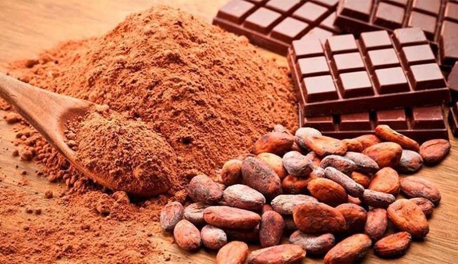 Boom Exportador: Cacao Peruano Aumenta un 25% en 2024