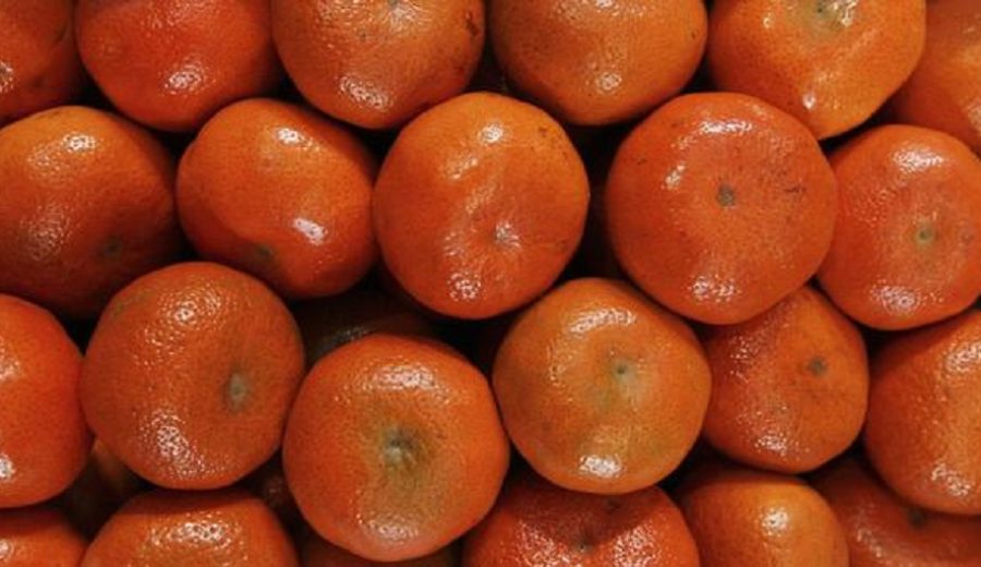 COVID impulsó venta de mandarinas y naranjas peruanas al exterior, lográndose un récord histórico