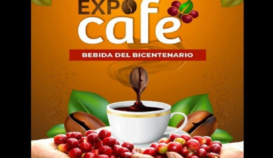 Café de Sandia premiado en el mundo se degusta en la Expo Café del Bicentenario