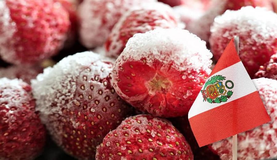 Caída y Desafíos: Fresas Peruanas Buscan Recuperarse en el Mercado Internacional