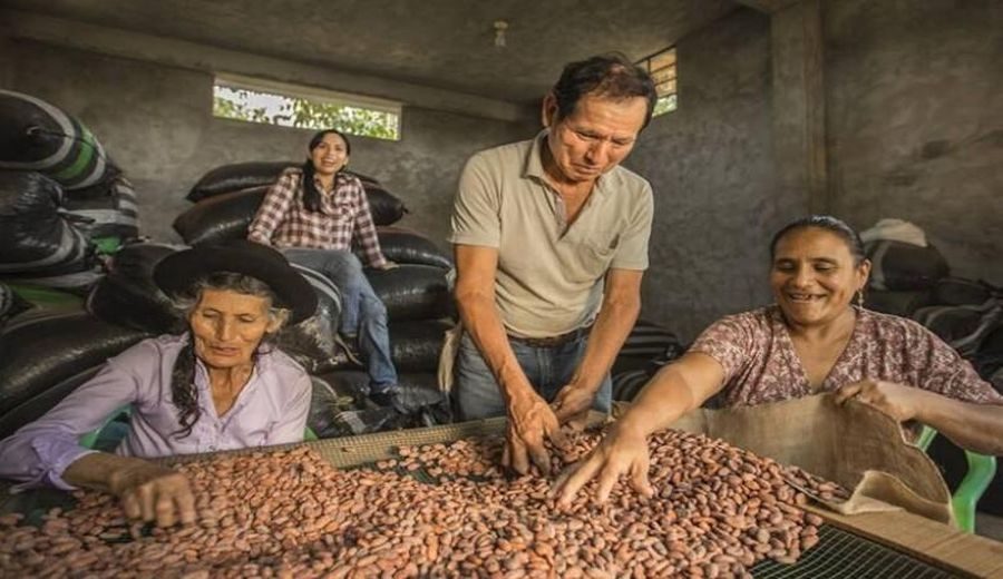 Caroye Foods Cacao: Tradición y Sostenibilidad en el Mundo del Chocolate