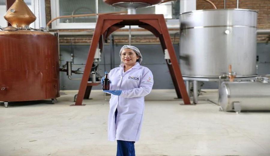 Cervezas y destilados de pitahaya: Innovación agroindustrial en Ica