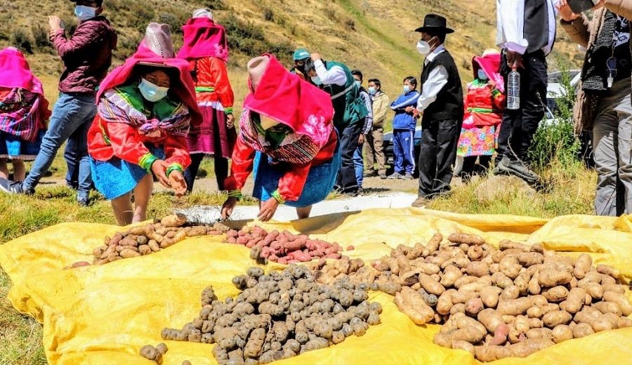 Cierre de mercado boliviano afecta a productores peruanos