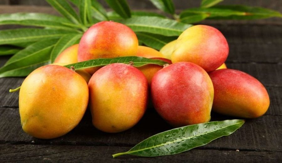 Consume mango, el nutritivo superalimento que ayuda a prevenir el cáncer y otros males