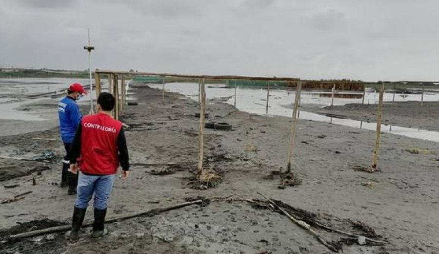Contraloría halla responsabilidad en funcionarios por venta irregular en Proyecto Virú Mar