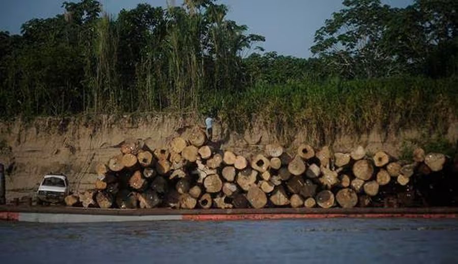Controversias en Perú por Cambios en Ley Forestal y Comercio con la UE