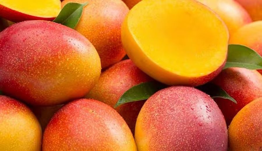Desafíos y Oportunidades: Añay Peruvian Fruits en el Mercado Global del Mango
