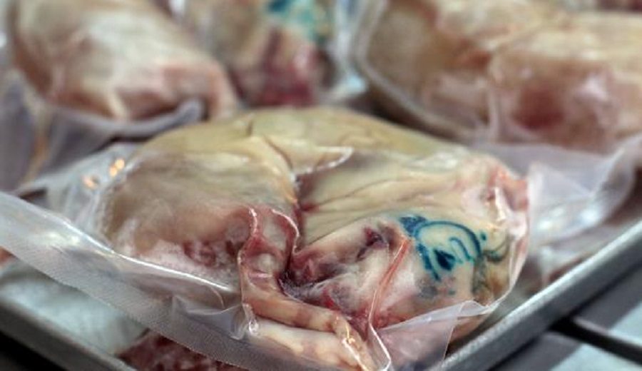 EE.UU. rechazó 17 despachos de Perú entre carne de cuy, conchas de abanicos y otros productos