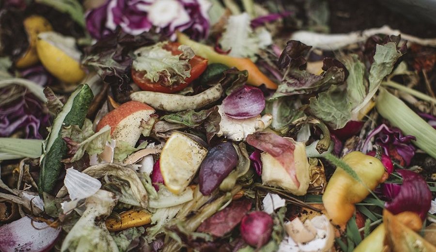 En el Perú, la mitad de los alimentos termina en la basura, según estudio