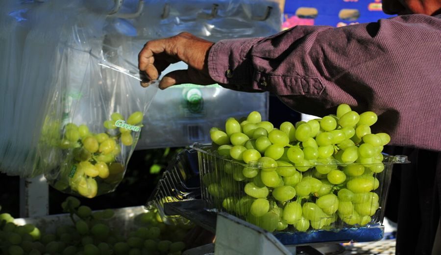 Éxito en Japón: Posicionamiento destacado de la uva peruana en el mercado