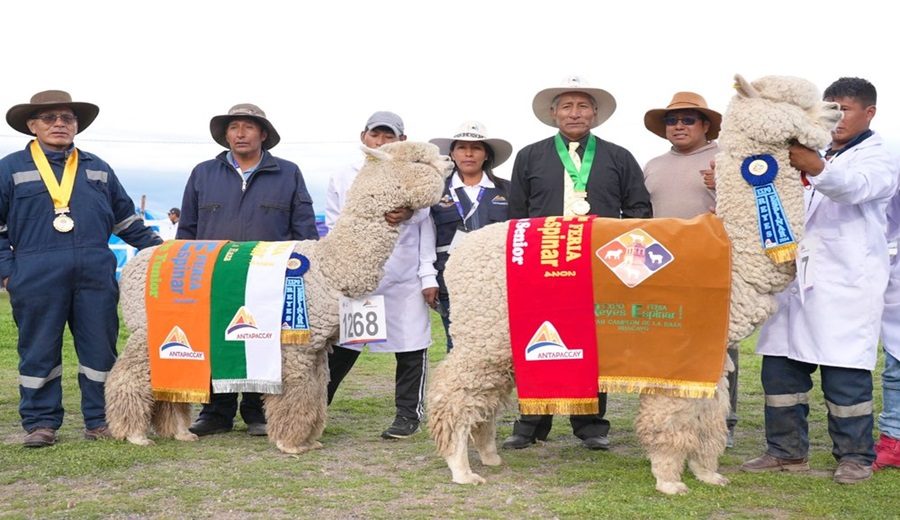 Éxito récord en la Expo Feria 2024: Un hito para la ganadería y la comunidad de Espinar