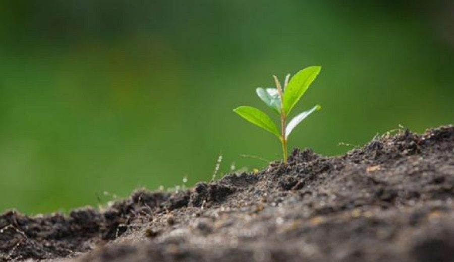 FAO impulsa dos soluciones para la gestión sostenible de los suelos