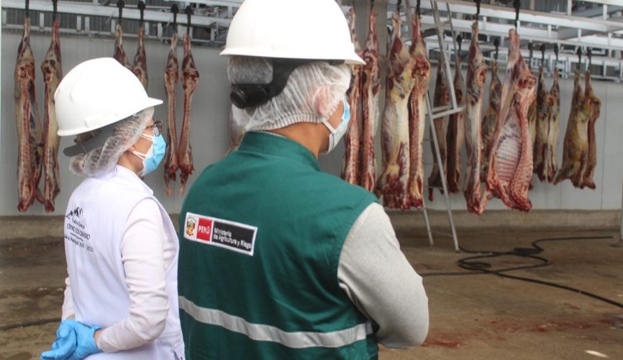 Fiscalizan condiciones sanitarias de mataderos autorizados en Arequipa