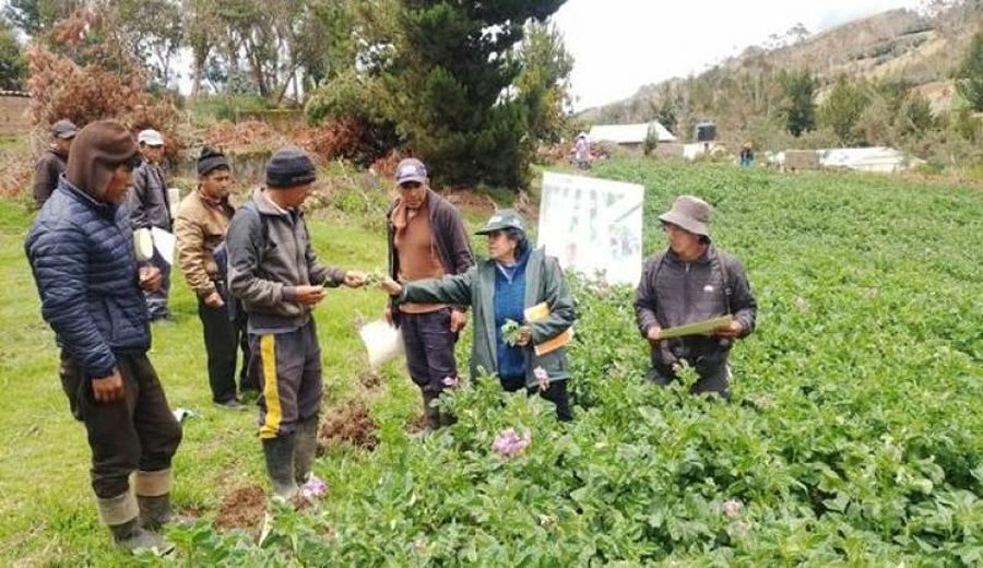 Fortalecimiento Agrario: Innovación y Crecimiento Sostenible en Huancavelica