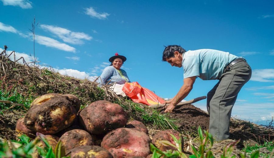 Fortalecimiento Agrícola: Proyecto de Riego Resiliente ante Cambio Climático en Perú