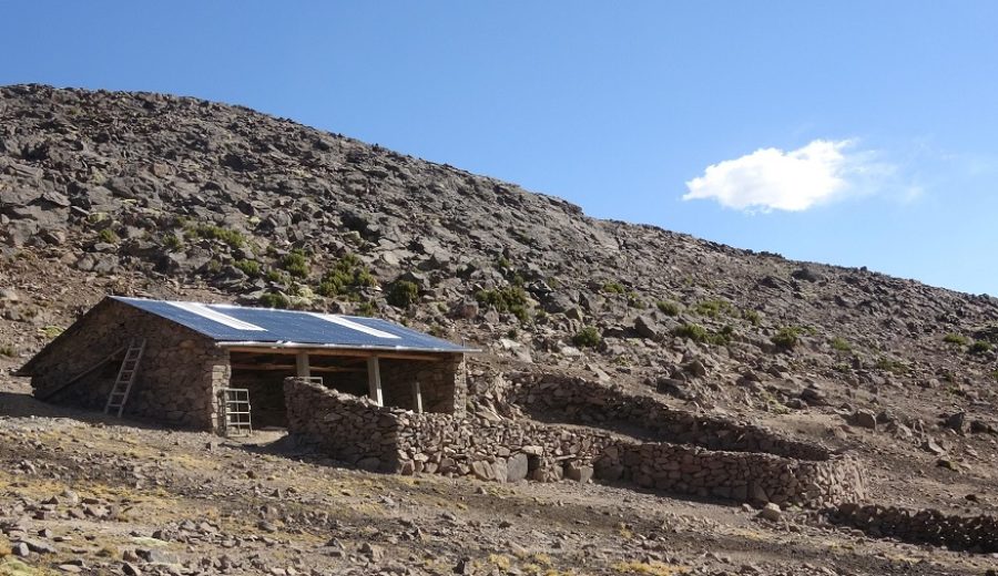 Huancavelica Agro Rural protege 27 500 cabezas de ganado con construcción de 275 cobertizos