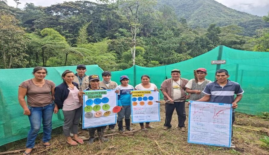 INIA Revoluciona Agricultura de Cajamarca con Tecnología Suelo