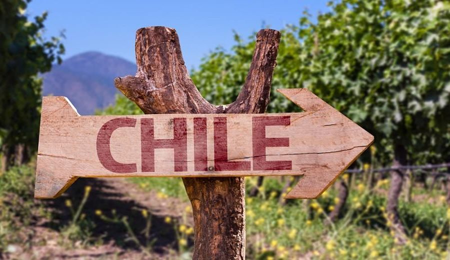 Innovación y Oportunidades: El Auge Agrícola en Chile 2024