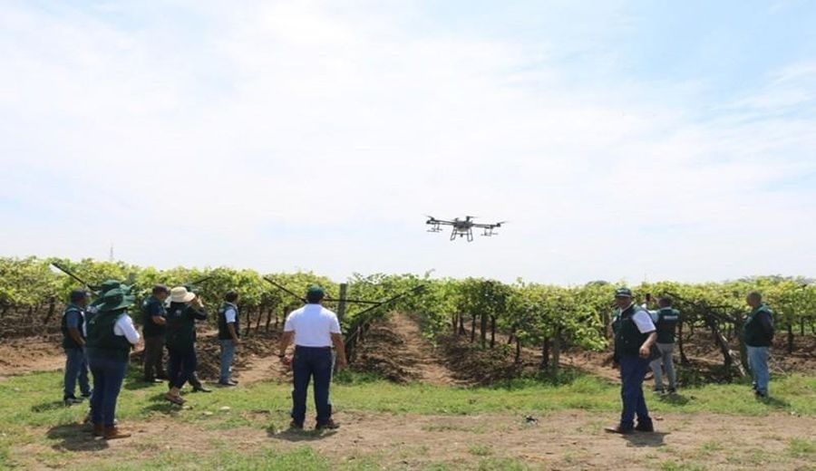 Innovadora fumigación con drones revoluciona cultivos en Tumbes