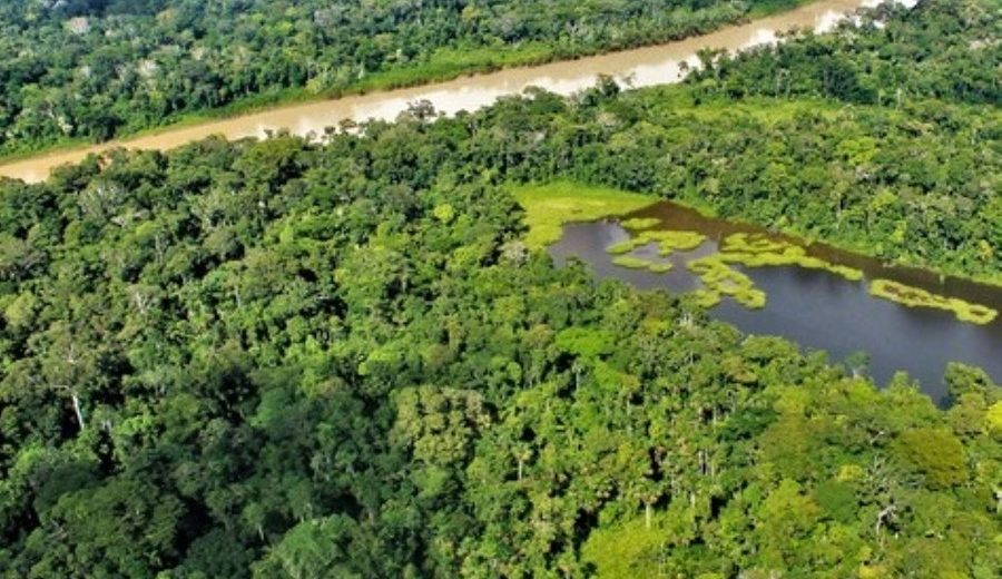 Invertirán US$ 50 millones para reducir la deforestación en la Amazonía peruana