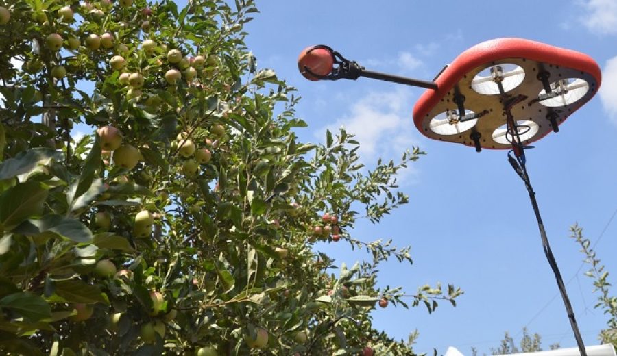 Kubota invierte 20 millones en la tecnológica Tevel, especialista en drones para recolección de fruta