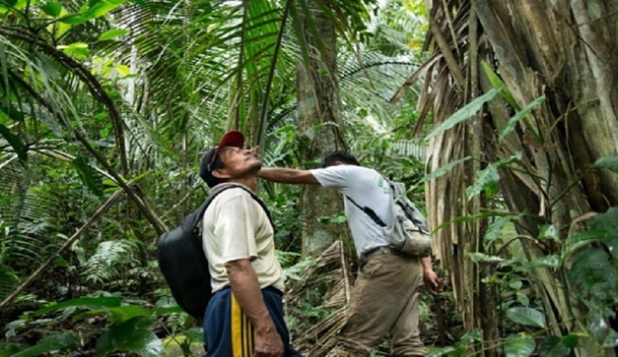Loreto unen esfuerzos para involucrar a 80 comunidades en la conservación de bosques