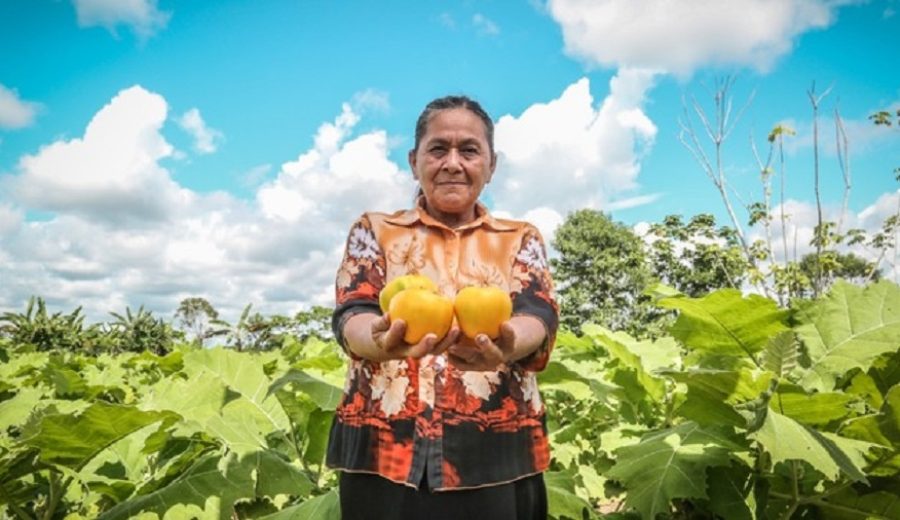 MIDAGRI Producción de frutas y verduras representó el 38% del Valor de la Producción Agrícola