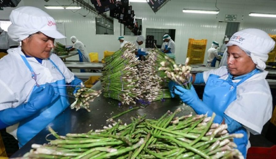 MIDAGRI Sector agropecuario repunta y crece en julio 11%, la cifra más alta en lo que va del año