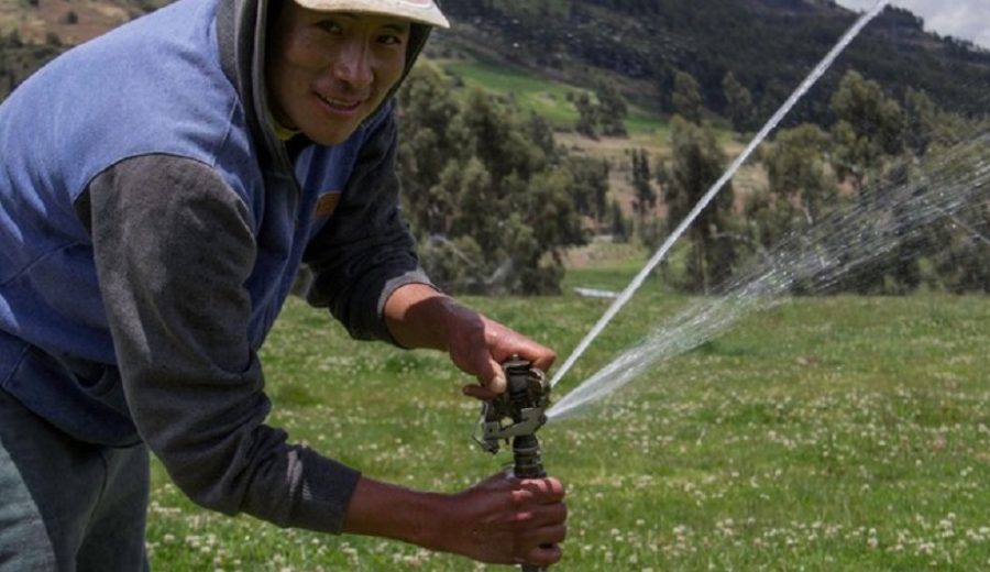 MIDAGRI anuncia licitación pública para la ejecución de obras de cuatro proyectos de riego tecnificado en beneficio de 739 agricultores