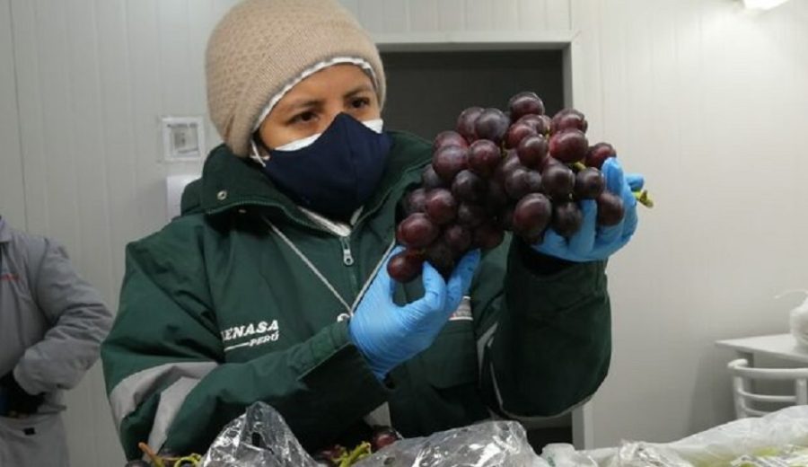 MIDAGRI concreta acuerdo para la exportación de uva de mesa y cítricos al mercado de Argentina