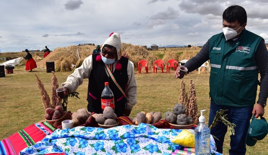 MIDAGRI fortalece manejo de cultivos priorizados en Puno
