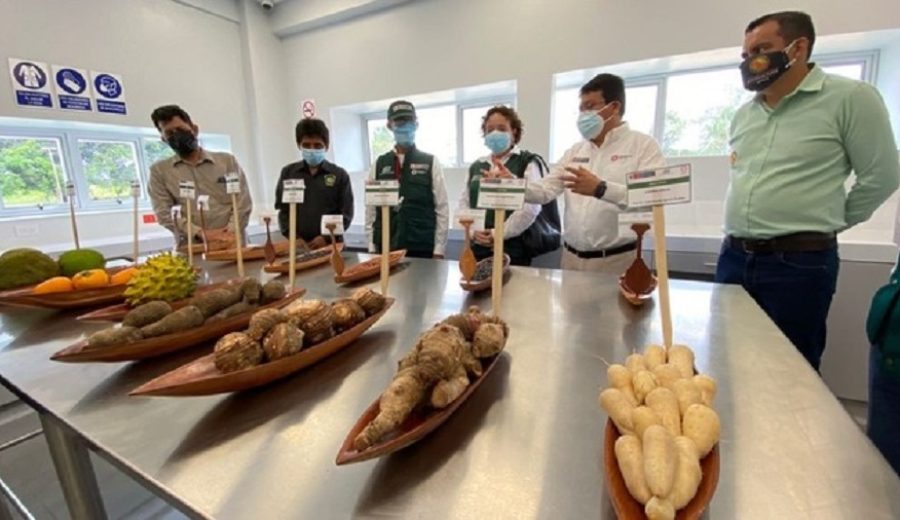 MIDAGRI implementa modernos laboratorios de recursos genéticos para impulsar el desarrollo agrario de la región de Ucayali
